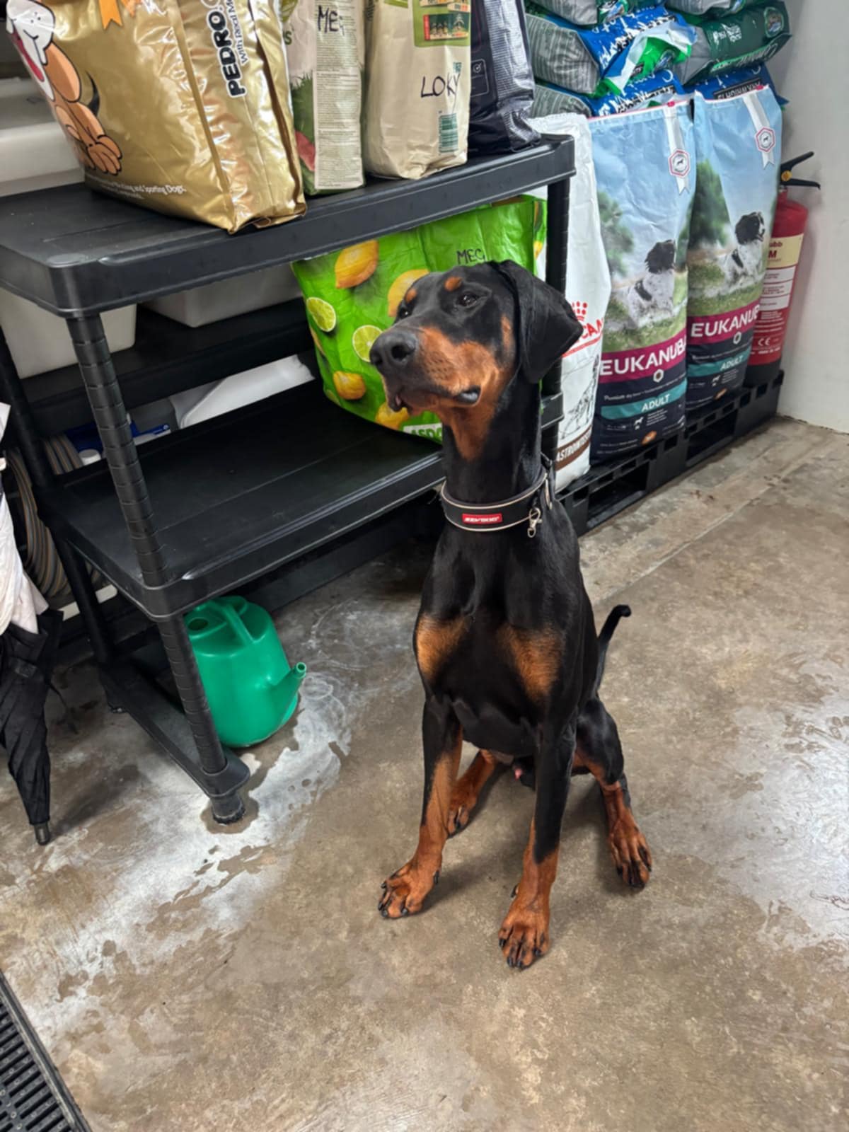 Picture of Zeus
